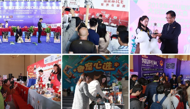 深圳華南寵物用品展Pet Fair South China(www.cqmrd.com)