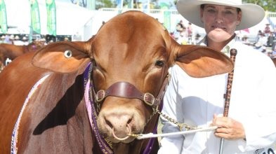 2021澳大利亞牛肉產(chǎn)業(yè)及肉類加工展覽會舉辦時間Beef Australia(www.cqmrd.com)