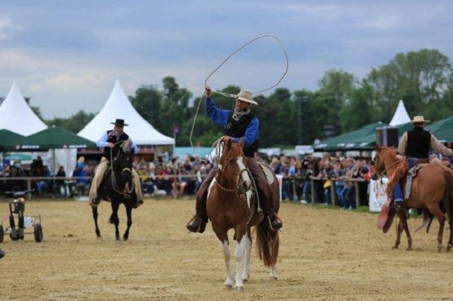 德國科隆馬術用品展覽會spoga horse(www.cqmrd.com)